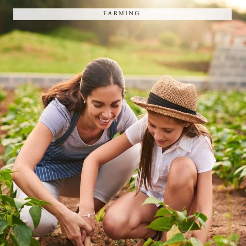 WhatsApp Image 2024-03-16 at 4.24.03 PM WhatsApp Image 2024-03-16 at 4.24.03 PM