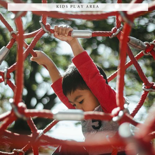 WhatsApp Image 2024-03-16 at 4.26.05 PM WhatsApp Image 2024-03-16 at 4.26.05 PM